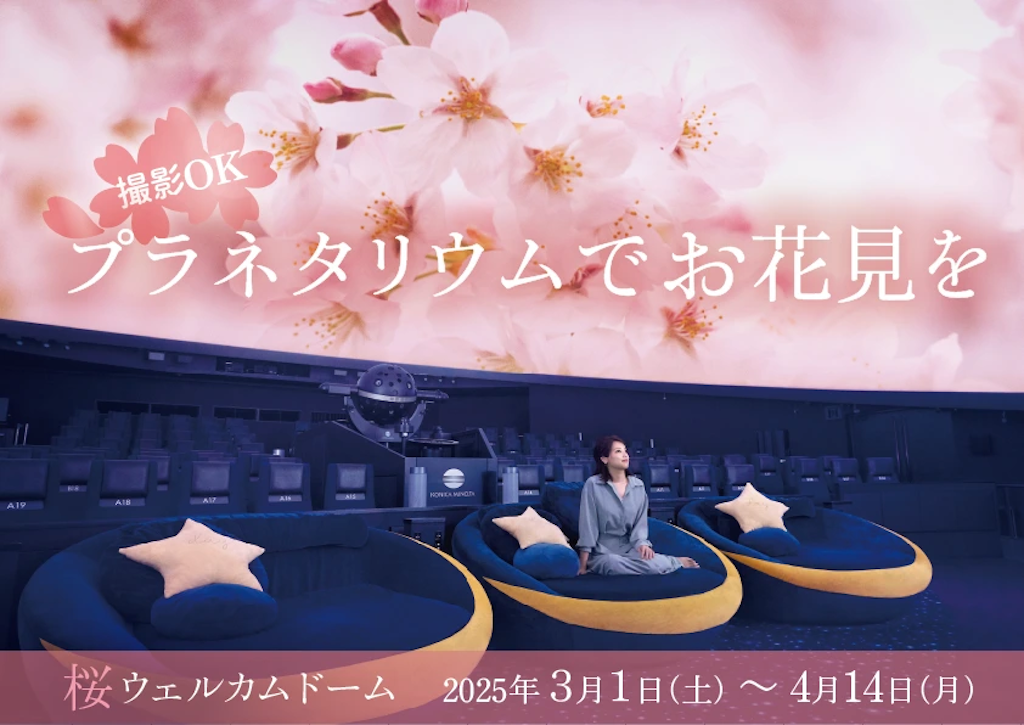 桜ウェルカムドーム画像その3